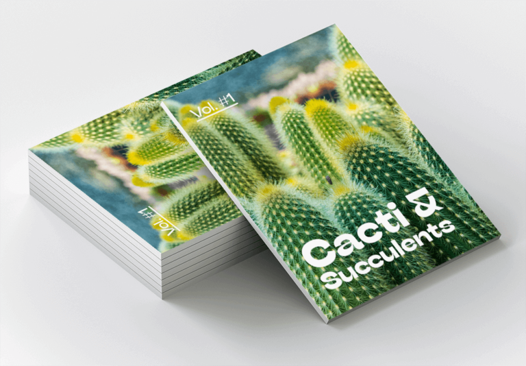 Cacti-magazine (mockup)