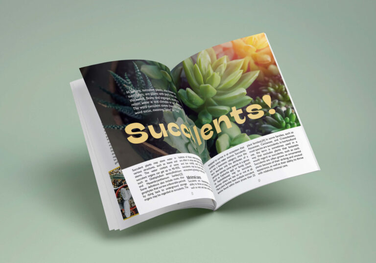 cacti-zine-01 mockup